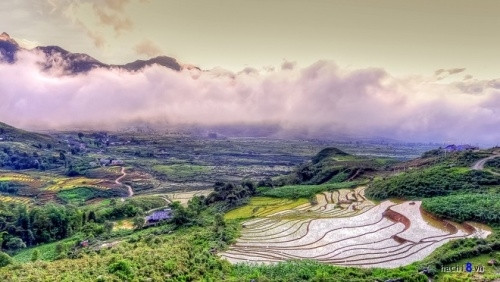 沙巴梯田有其独特的魅力（图片来源：越南每日快讯报）