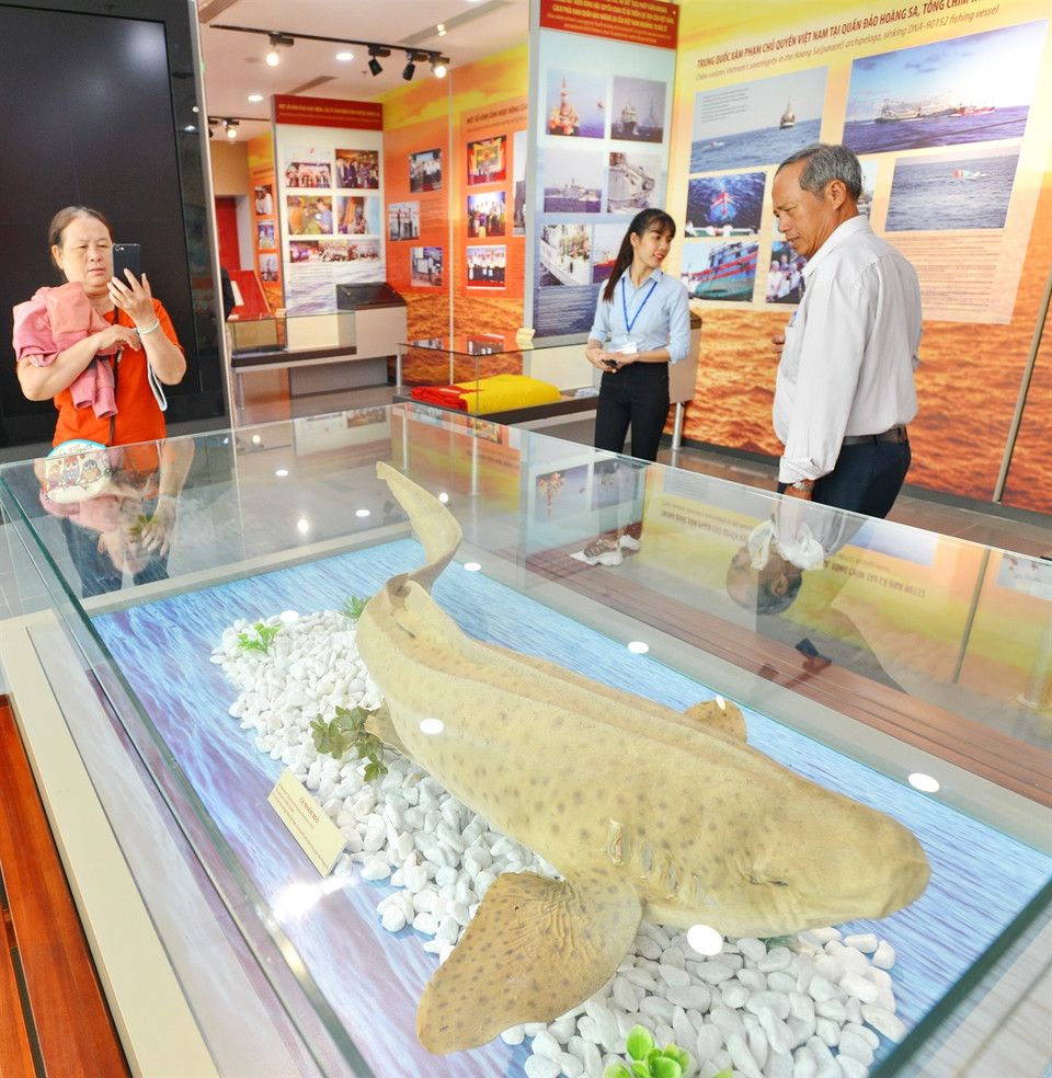 越南从1858至1945年在黄沙群岛活动的图片。越通社记者 清和 摄