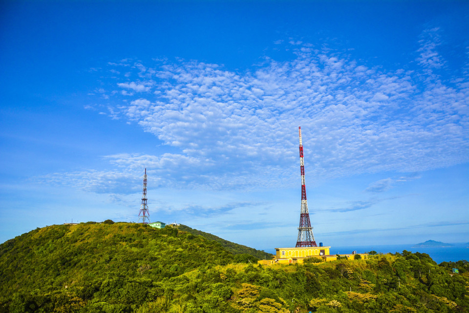 岘港市山茶半岛到处鲜花盛开，草绿花艳，惹人心醉。图自越通社