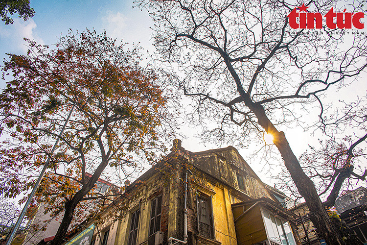 如诗如画的风景，放慢了喧嚣生活节奏。图自 《信息报》