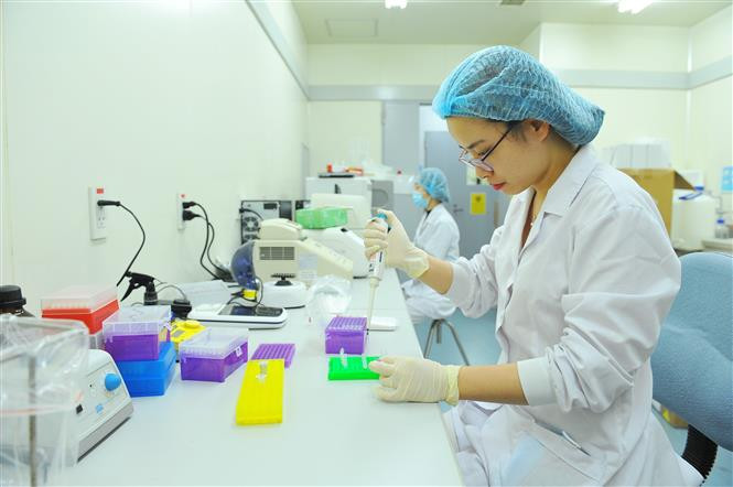 中央卫生与流行病学研究院的研究员应氏红庄是科学研究领域的模范代表。图自越通社