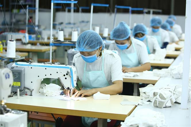 K's Closet服装股份公司的女工正在生产抗菌口罩。图自越通社