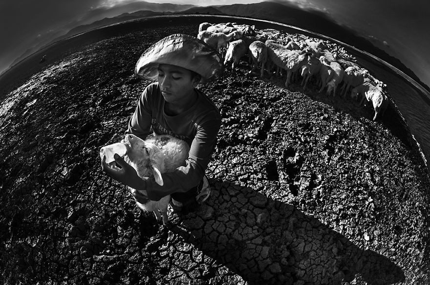 牧羊男孩——由于宁顺省旱情持续，当地的孩子们常常要亲自喂养小羊崽。（图片来源：新河内报）