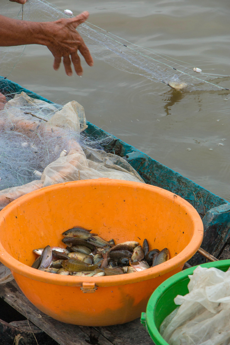 江省渔民汛期在田野上捕捞。 越通社记者 维姜 摄