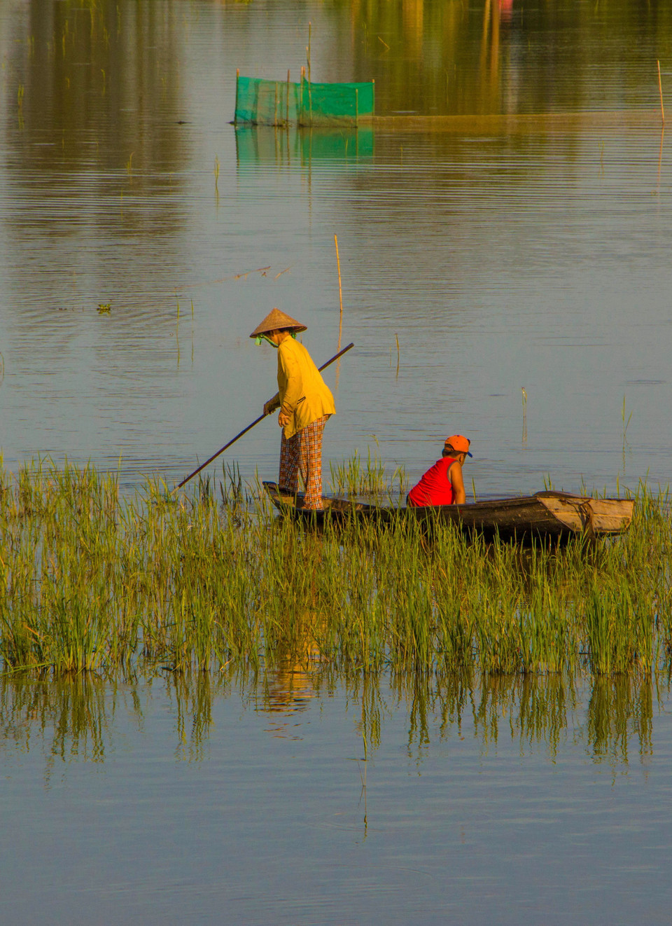 从10月至11月，上游洪水泛滥，淹没了后江省大片田野。越通社记者 维姜 摄