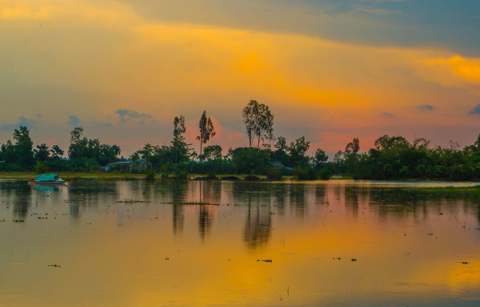 从10月至11月，上游洪水泛滥，淹没了后江省大片田野。越通社记者 维姜 摄