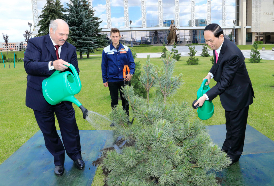 陈大光与卢卡申科在独立宫植树留念。（图片来源：越通社）