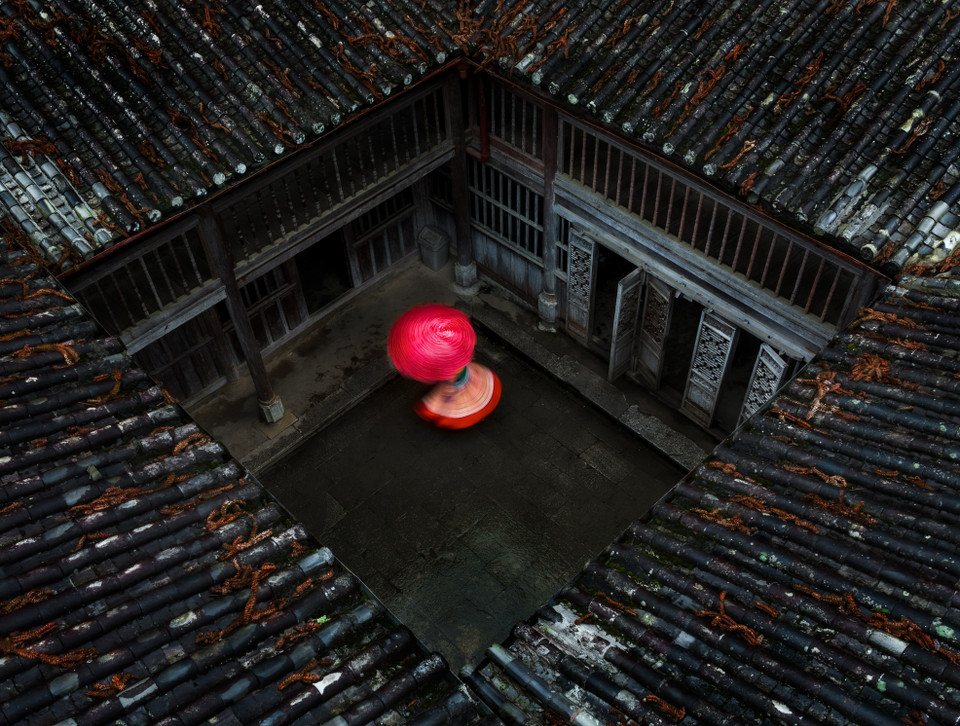 DYPA银牌：花色舞。作者：阮邓越强（越南）