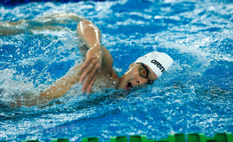 在第31届东南亚运动会上，越南游泳队将与泰国、新加坡等重磅对手竞争。预计，第31届东运会游泳赛项将于5月14日至19日在河内美亭国家体育场举行。越南游泳队共31名运动员参加第31届东南亚运动会中的40个比赛项目，力争获得8枚金牌。图自 Vietnam+ 