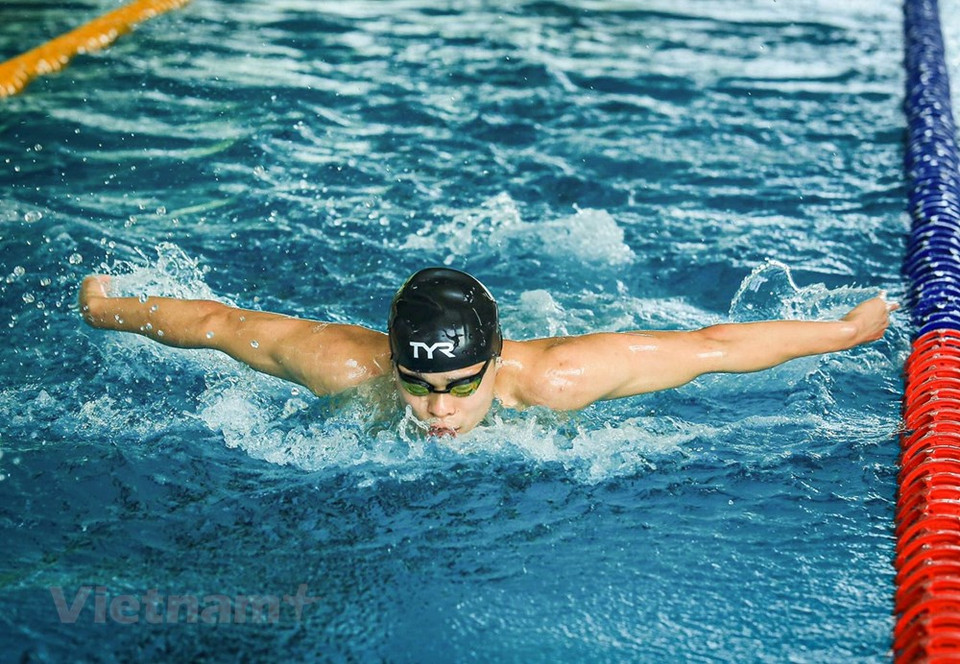 越南游泳队团队正在通过特殊的课程计划进入加速阶段，以最好地为第 31 届东南亚运动会做准备。越南游泳队31名运动员参加第31届东南亚运动会中的40个比赛项目，力争获得8枚金牌。预计，第31届东运会游泳赛项将于5月14日至19日在河内美亭体育场举行。图自 Vietnam+