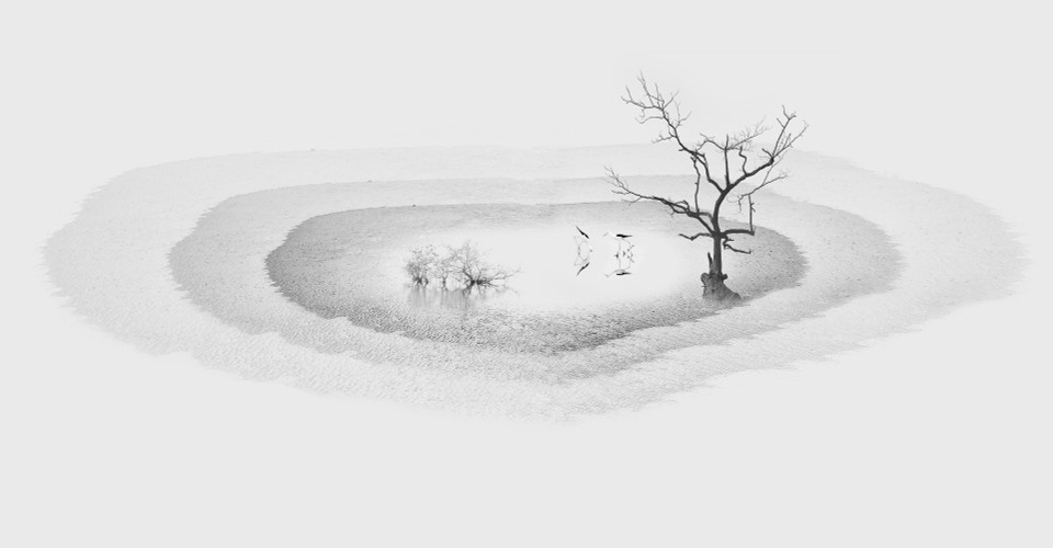 DYPA金牌：白色海洋。作者：邓光荣（越南）