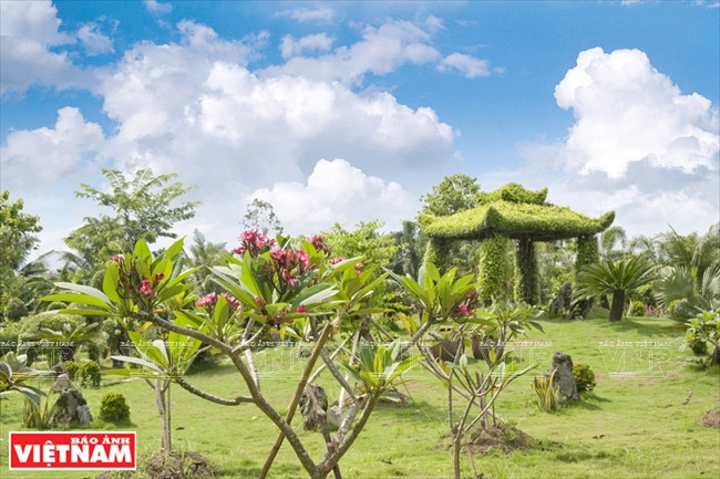 常青度假区的绿树。图自《越南画报》