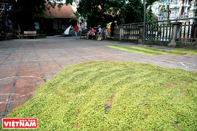 糯米得是黄花糯米。 越南画报记者 必山/功达
