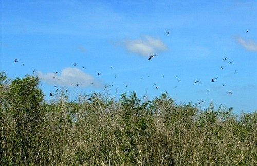 幽明上国家公园大自然之美。（图片来源：越通社）
