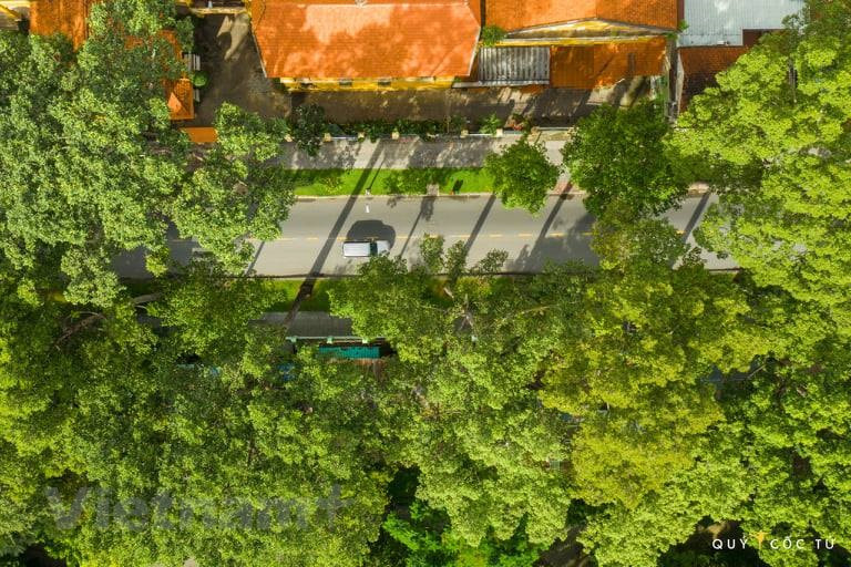 目前，胡志明市正展开大规模的抽样检测、患者排查追踪等。图中：胡志明市大街小巷人烟稀少的场景。 图自 Vietnam+