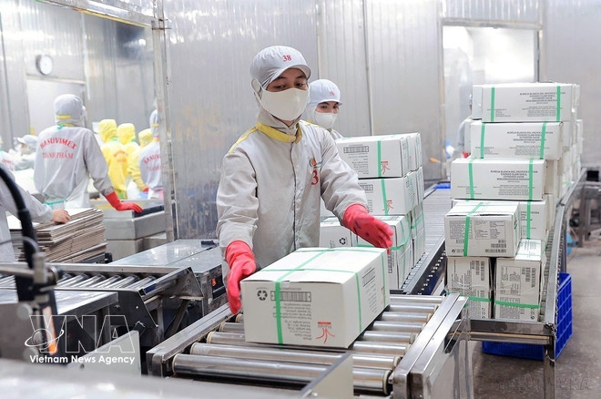 vnanet-potal-thuy-san-viet-nam-phat-trien-chuyen-doi-cong-nghe-cao-xanh-va-ben-vung-8671638.jpg