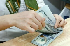 资料图。图自越通社