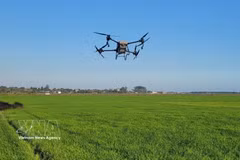 使用无人机（drone）喷洒农药。图自越通社