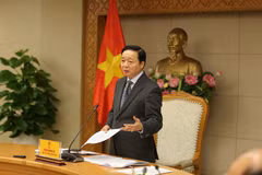 陈红河副总理在会上发表讲话。图自越通社