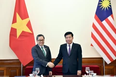 越南外交部副部长阮孟强与马来西亚外交部副秘书长拿督阿末·罗兹安·阿卜杜勒·加尼。图自互联网