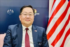 马来西亚驻越大使陈扬泰。图自越通社