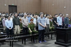 被告人出庭受审。图自越通社