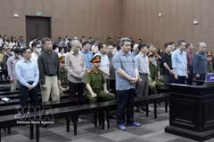 被告人出庭受审。图自越通社