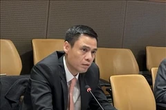 越南外交部副部长邓黄江。图自越通社