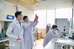 大会文件特别强调了教育培训、科学技术、创新创意和人文建设作为提升竞争力且推动可持续发展的核心动力作用。图自越通社