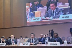 越南外交部国际组织司司长范海英大使在会上发表讲话。外交部供图