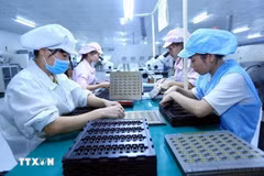 资料图。图自越通社