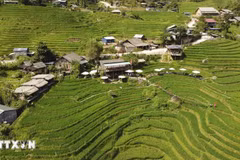 力争建设现代化、富有特色且可持续发展的新农村。图自越通社