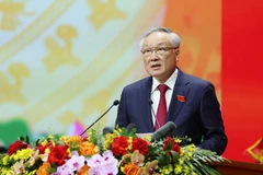 越共中央政治局委员、政府党委常务副书记、政府常务副总理阮和平作了政治报告（草案）摘要。图自越通社