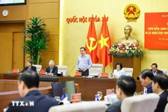 陈青敏在国会常务委员会一场会议上发言。图自越通社