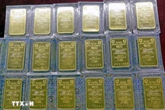 资料图。图自越通社