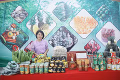 北宁省“一乡一品”产品。图自sanphamthiennhien.vn
