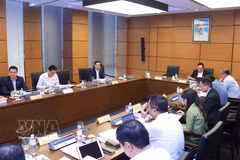 胡志明市国会代表团分组讨论。图自越通社