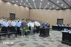 福山集团案被告人出庭受审。图自越通社