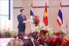 越南驻孔敬总领事丁黄灵在活动上发表讲话。图自越通社