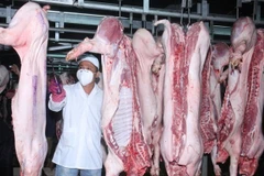 资料图。图自越通社