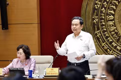 国会主席陈青敏在会上发言。图自越通社