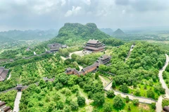 沛顶寺坐落于世界文化与自然双重遗产长安名胜群之中，创下亚洲与越南多项纪录。图自越通社