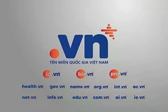 保护“.vn”域名免遭非法抢注的风险