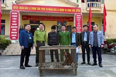 乂安省人民将珍稀的短尾猴交给职能部门。图自越通社