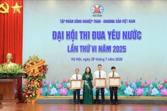 武氏映春向优秀个人授予三等劳动勋章。图自越通社