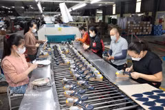 皮革制鞋是越南主要出口产品之一。图自越通社