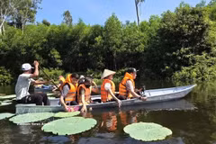 游客乘船探索宝达湿地森林。图自越通社