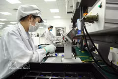 越南Star Engineers有限责任公司电子零部件生产活动。图自越通社