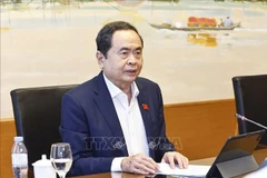 国会主席、后江省国会代表陈青敏发表讲话。图自越通社