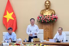 越南工贸部部长阮鸿延在会上发表讲话。图自Vietnam+